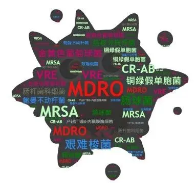 图片 1.png