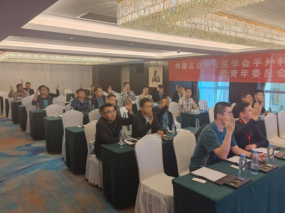 青年委员会成立_编辑.jpg